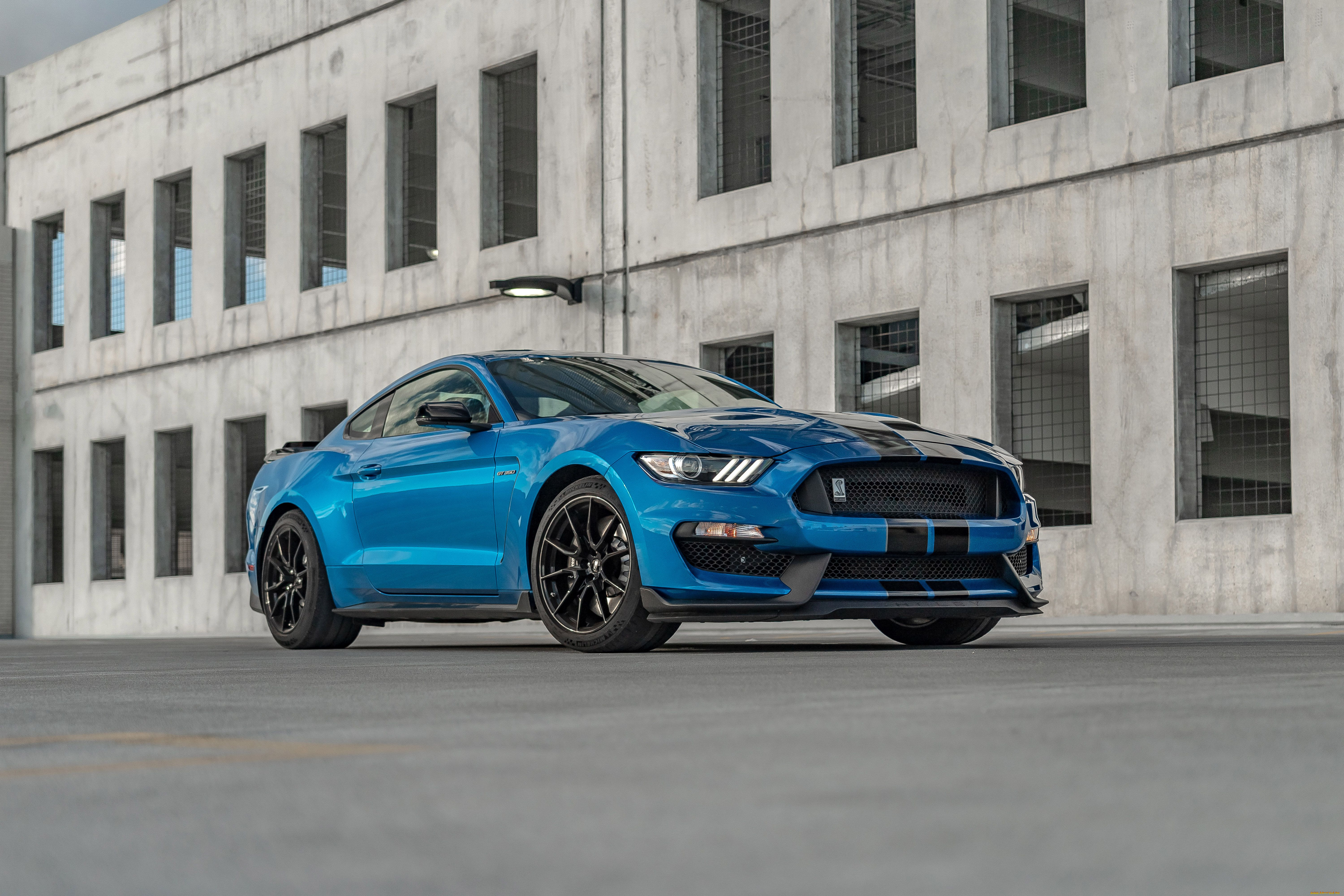 , mustang